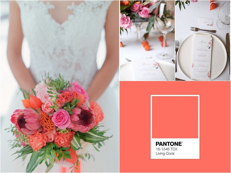kolor roku Pantone Insytut Pantone Living Coral inspiracje Ślubne ślub wesele dekoracje