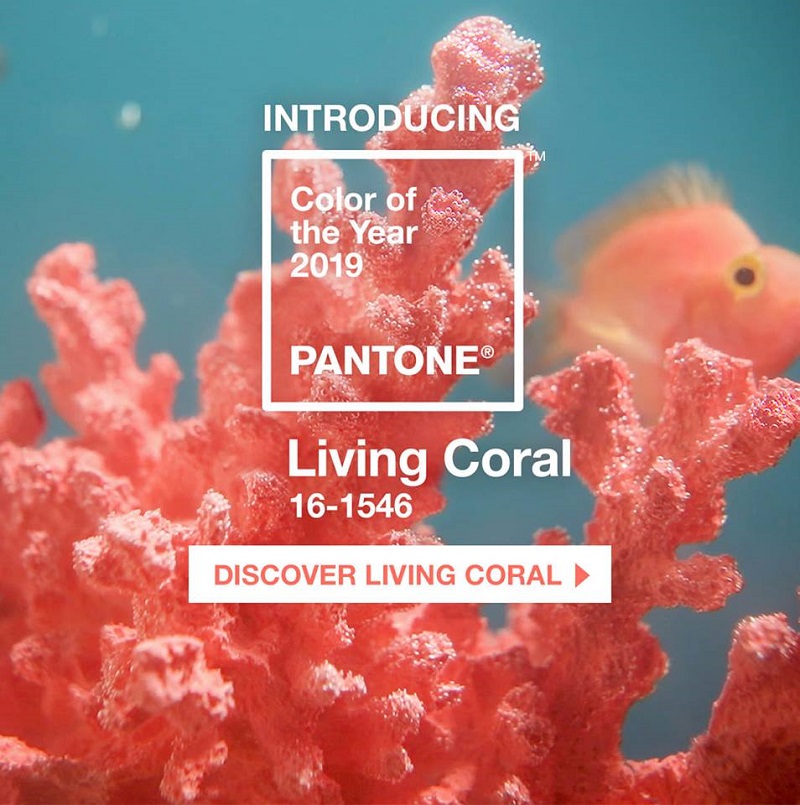 kolor roku Pantone Insytut Pantone Living Coral inspiracje Ślubne ślub wesele dekoracje