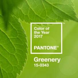 Kolor roku 2017: orzeźwiający i chłodny zielony - Greenery